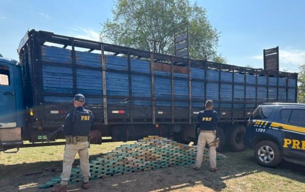 Caminhoneiro é preso com quase 200 kg de cocaína escondida embaixo de gado em MS