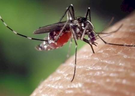 Notificações de dengue em MS chegam a 64 mil em 2019 com 27 mortes