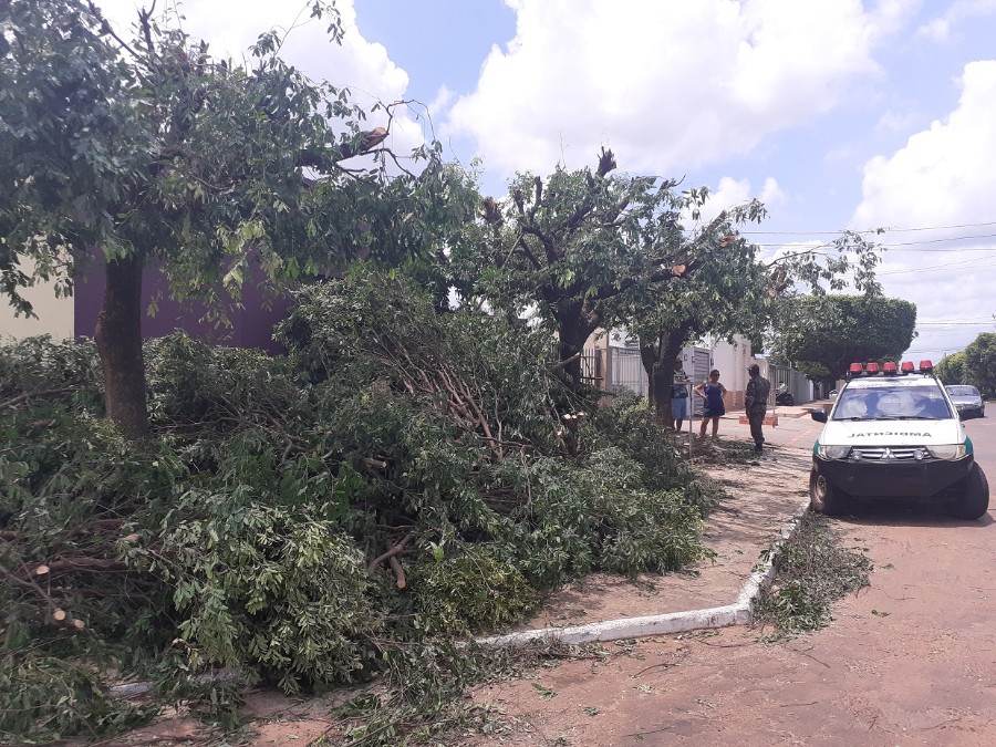 Polícia Militar Ambiental de Aquidauana autua professora em R$ 2,6 mil danificar sete árvores em logradouro público