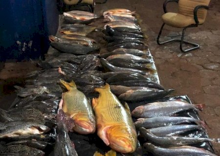 Polícia Militar Ambiental de Dourados autua mato-grossense em R$ 20,2 mil e apreende 108 kg de pescado