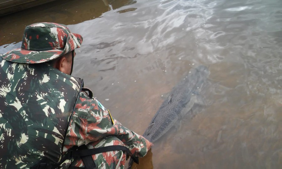 Polícia Militar Ambiental autua 55 infratores, apreende 859 kg de pescado e aplica R$ 105 mil em multas