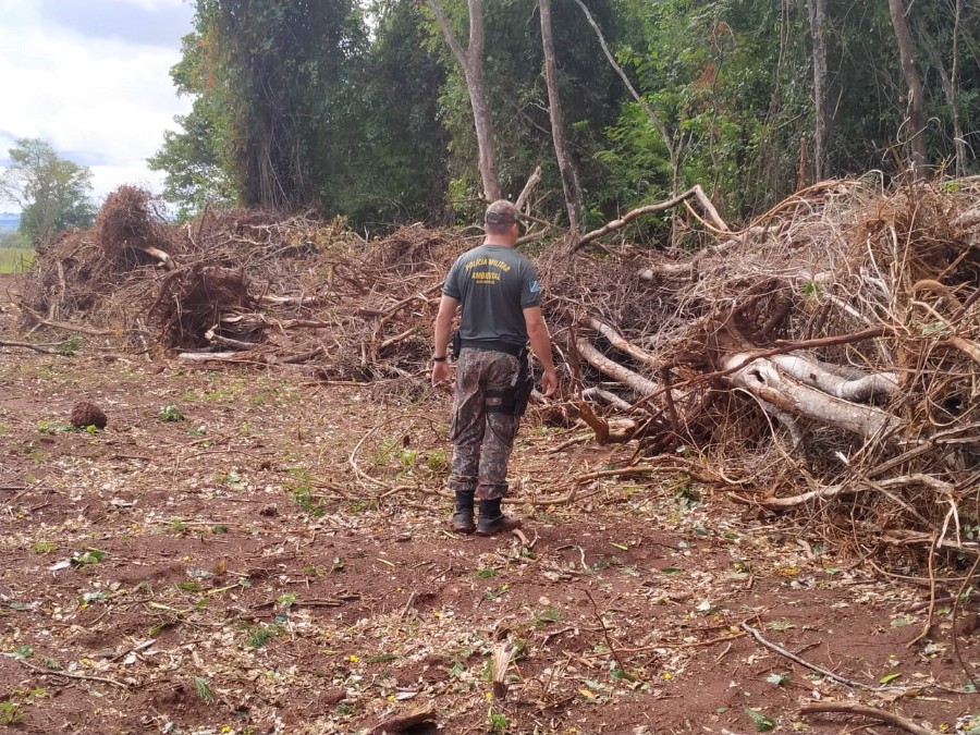 Ivinhema - Polícia Militar Ambiental de Batayporã autua infrator em R$ 42 mil por desmatamento ilegal de vegetação