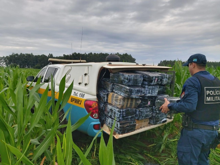Polícia Militar Rodoviária encontra mais de meio milhão de reais de droga abandonada em meio a plantação de milho