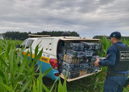 Polícia Militar Rodoviária encontra mais de meio milhão de reais de droga abandonada em meio a plantação de milho