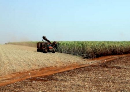 Safra de cana deverá ter morte súbita em setembro com usinas não pagando para trabalhar