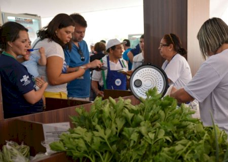 Micro e pequenas empresas devem ter acesso a crédito esta semana