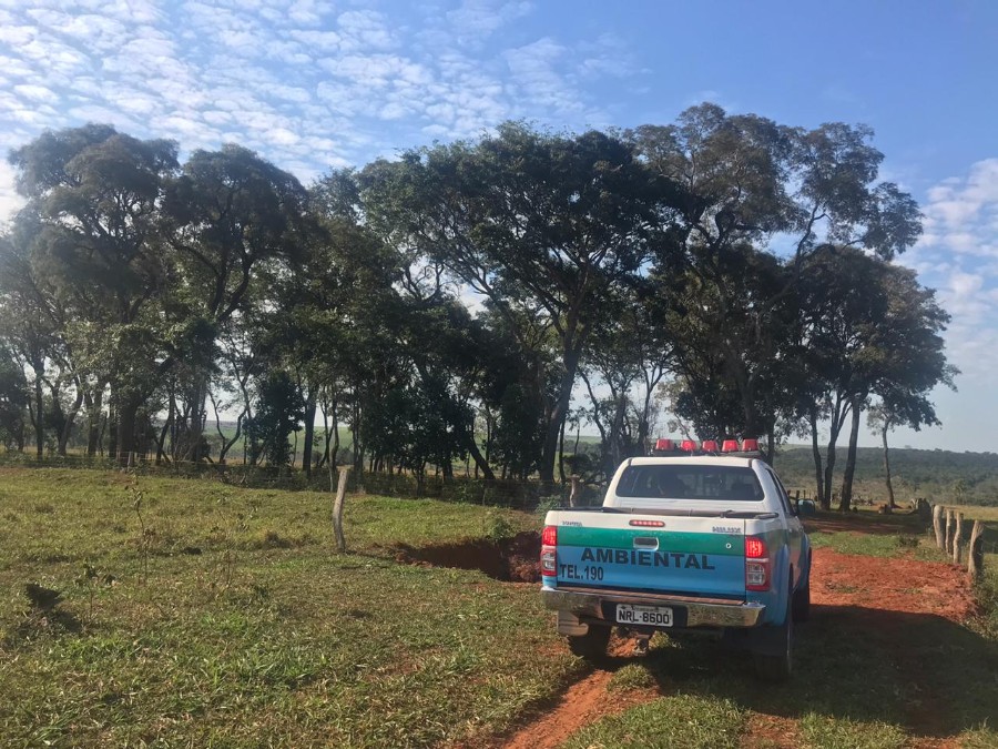 Polícia Militar Ambiental de Batayporã autua infrator em R$ 35 mil por desmatamento ilegal de vegetação do bioma protegido de Mata Atlântica