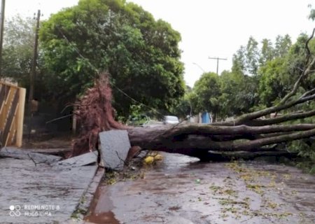 Temporal e chuva de granizo causam estragos em municípios do Pontal do Paranapanema