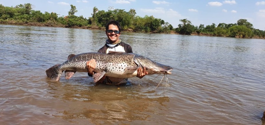 Deodápolis - Homem captura peixe de 60 quilos e 1,70 metro em rio de MS