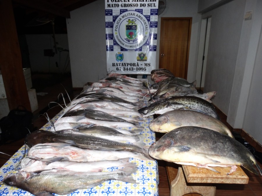 Polícia Militar Ambiental de Batayporã prende e autua quatro em R$ 8,4 mil por pesca predatória e apreende 139 kg de pescado, dois barcos, dois motores e petrechos