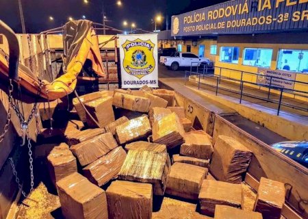 Maconha apreendida em 'armazém do tráfico' totalizou quase três toneladas