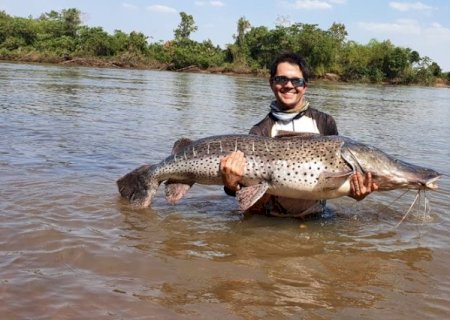 Deodápolis - Homem captura peixe de 60 quilos e 1,70 metro em rio de MS