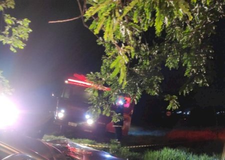 Deodápolis - Motorista perde controle da direção de veiculo colide em arvore e morre na BR-376