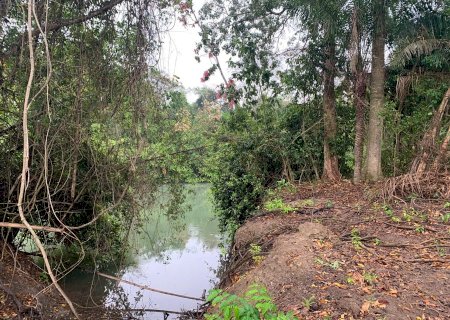 Polícia Militar Ambiental de Miranda autua engenheiro em R$ 50 mil por degradação de área protegida de mata ciliar do rio Salobra, o qual é protegido com proibição de pesca