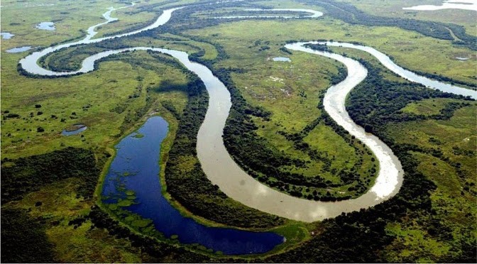 PF deflagra operação contra crimes ambientais no Pantanal de Mato Grosso do Sul