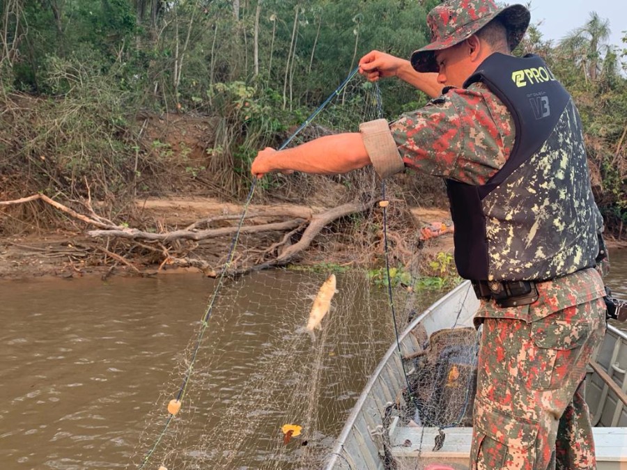 Polícia Militar Ambiental de Batayporã apreende petrechos ilegais de pesca no rio Ivinhema e solta pescado dos petrechos