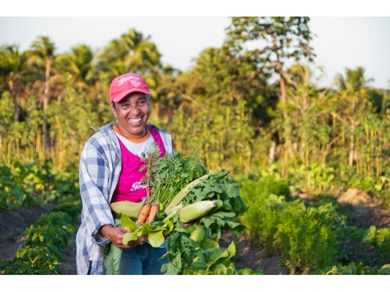Programa Nacional de Reforma Agrária abre vagas para quatro assentamentos