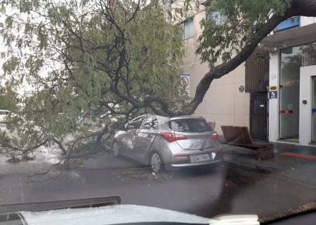 Chuva rápida deixa rastro de destruição em Dourados