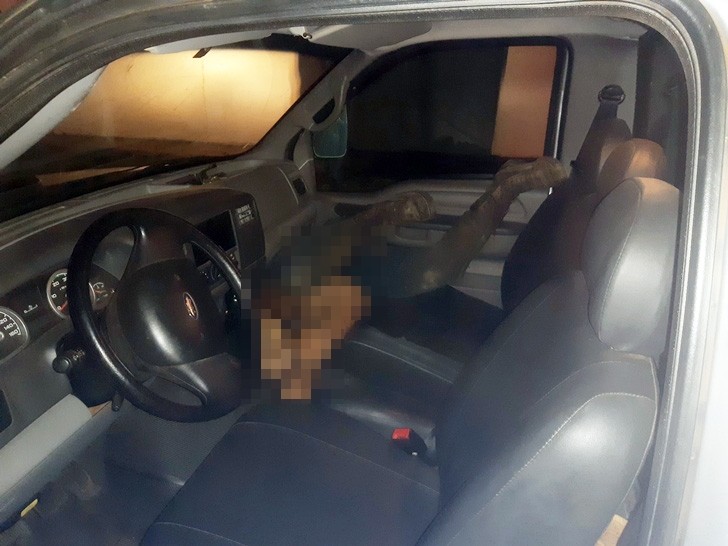 Homem morre após espingarda disparar durante caçada na zona rural