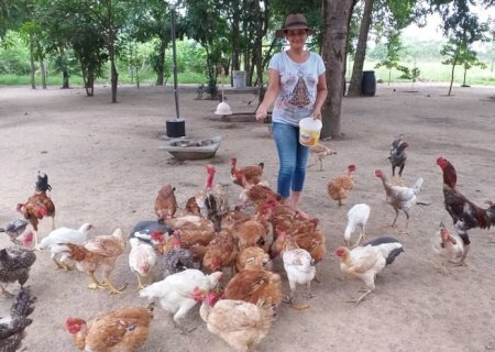 Fomento Mulher: autonomia para a beneficiária do campo