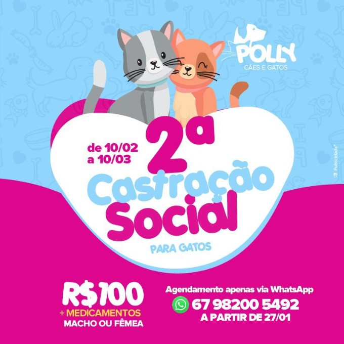IVINHEMA: ONG Polly realizará 2º castração social para gatos