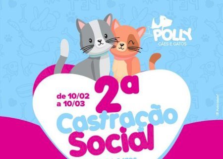 IVINHEMA: ONG Polly realizará 2º castração social para gatos