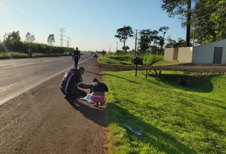 Criança morre atropelada e tem corpo dilacerado.