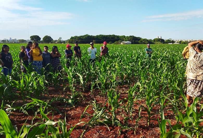 Corpo com sinais de espancamento é encontrado em meio a milharal