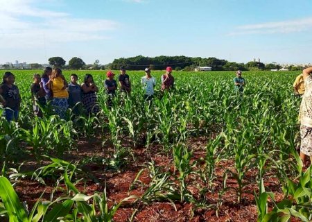 Corpo com sinais de espancamento é encontrado em meio a milharal