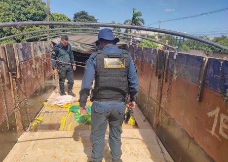 Naviraí - PMR apreende mais de 700kg de maconha em carreta.