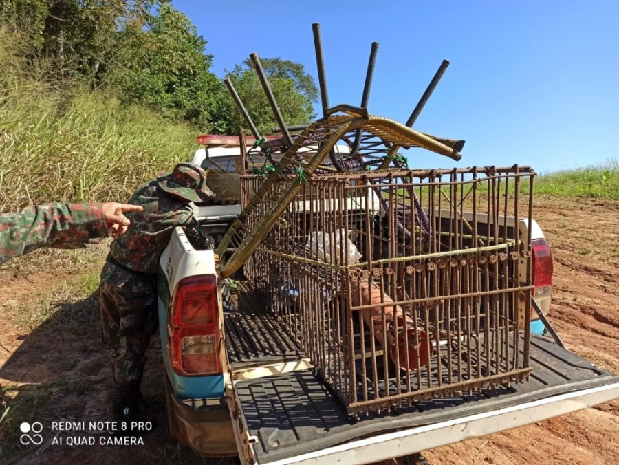 Polícia Militar Ambiental de Naviraí aprende várias armadilhas de caça para captura de animais silvestres