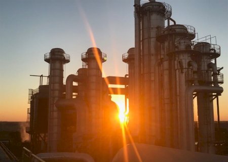 Cuidado Ambiental é um dos pilares de Sustentabilidade da Adecoagro no Brasil