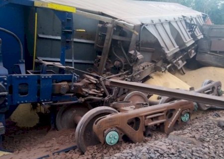Trem carregado com soja descarrila e nove vagões ficam destruídos em área de difícil acesso em MS
