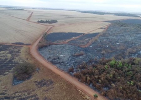 PMA de Dourados autua usina sucroenergética em R$ 2,55 milhões devido a incêndio em matas protegidas