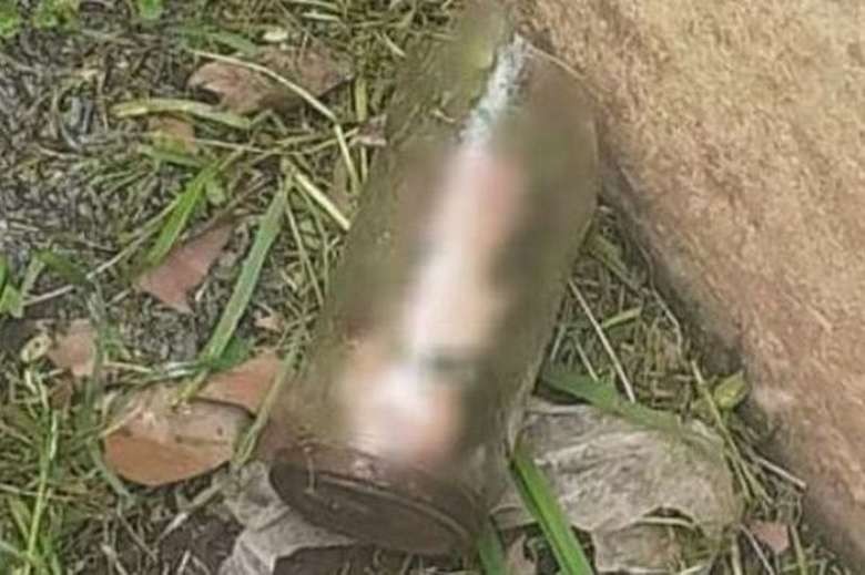 Homem descobre pênis decepado dentro de pote no jardim da casa da mãe