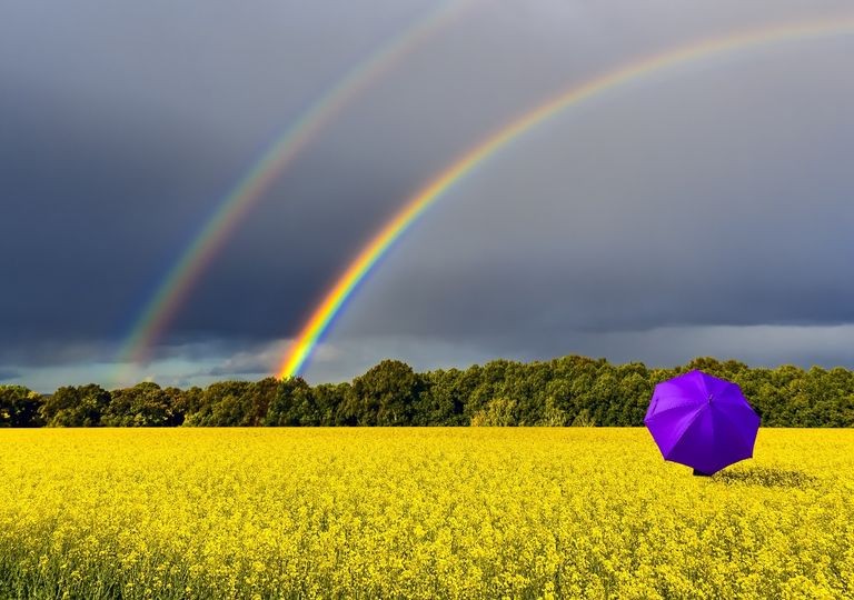 Primavera começa com chuva no Sudeste brasileiro