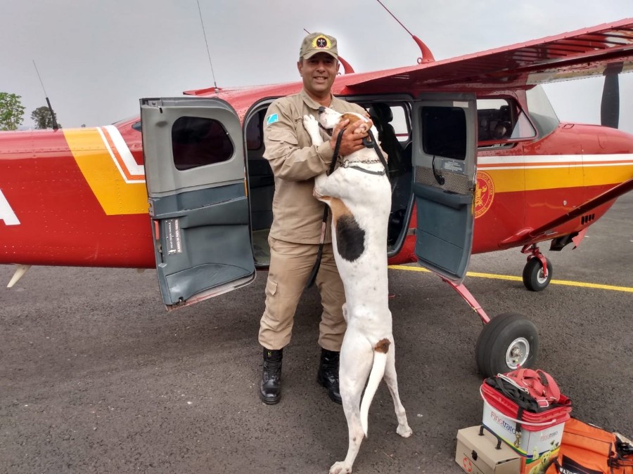 Bombeiros intensificam buscas por trabalhador que está desaparecido há uma semana no Pantanal