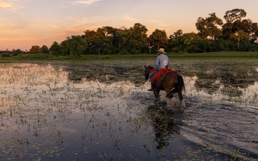 Peão morre após acidente com égua em fazenda