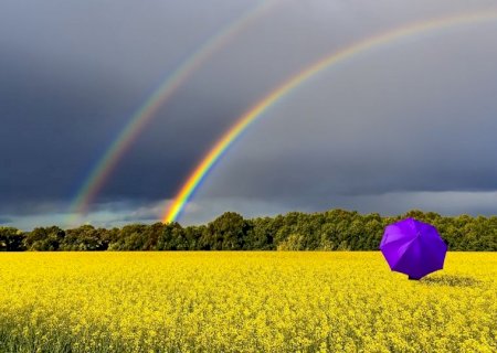 Primavera começa com chuva no Sudeste brasileiro