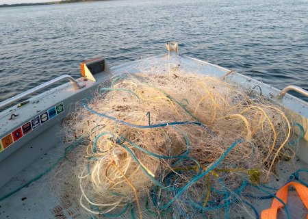 Polícia Militar Ambiental de Batayporã e Bataguassu fiscalizam 15 embarcações, apreende 50 metros de redes de pesca e solta 30 kg de pescado