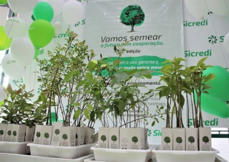 Sicredi Centro-Sul MS distribui mudas em comemoração ao Dia da Árvore