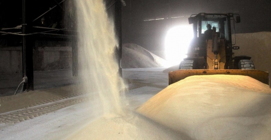 Em setembro, açúcar cristal bate recorde de preço da série histórica do Indicador CEPEA/ESALQ