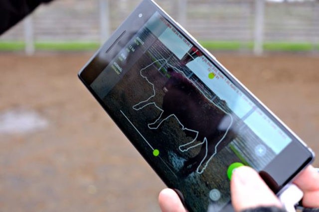 APP HÚNGARA PESA O GADO ATRAVÉS DE FOTO TIRADA DO CELULAR