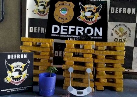 Entreposto que tinha até pé de maconha é fechado e trio preso pela polícia