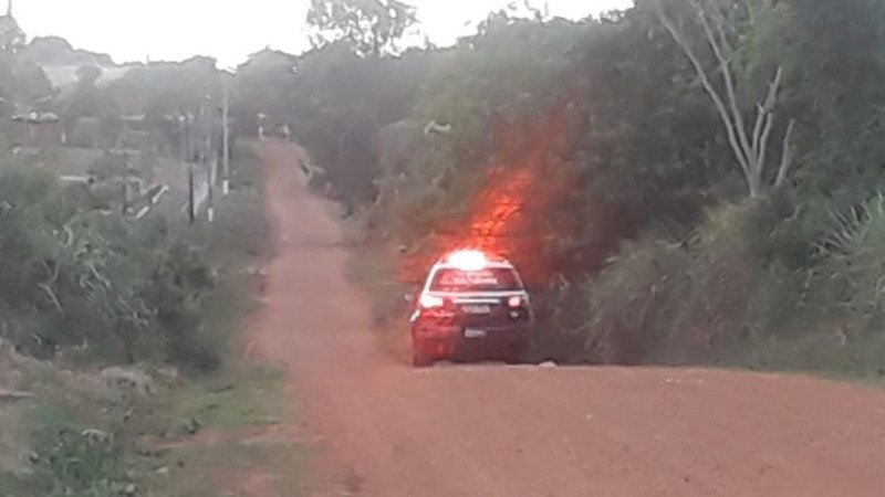 Ataque de abelhas deixa pelo menos 4 feridos no distrito de Culturama