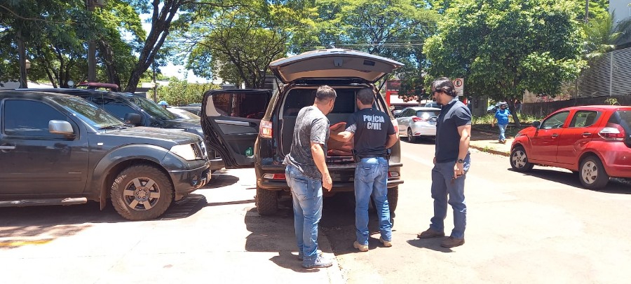 Suspeito de furto tentar atirar contra policial civil  acaba preso