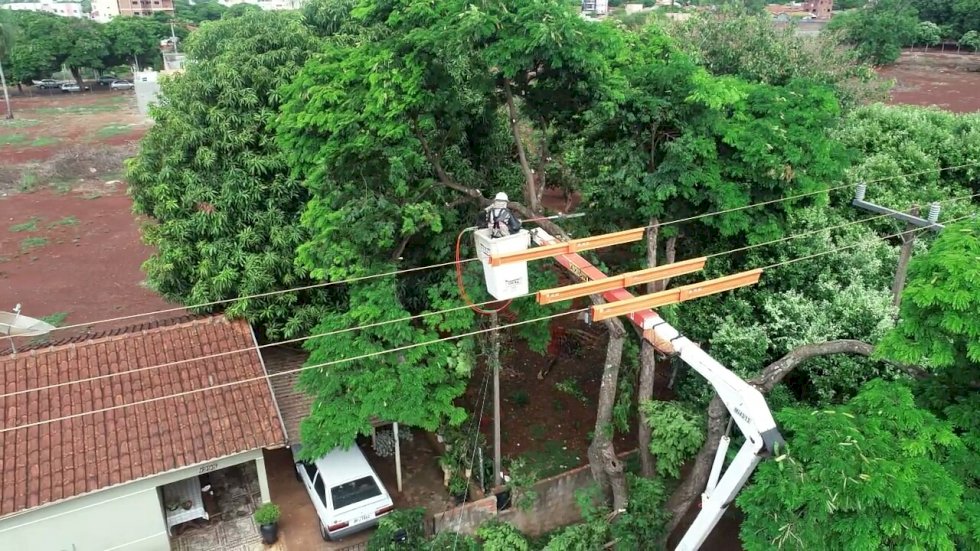 Energisa busca parceria com prefeituras da região sul de MS para podas de árvores