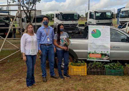 Prática sustentável da Atvos contribui para recuperação de terras degradadas de Nova Alvorada do Sul (MS)