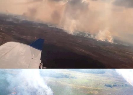 Há mais de uma semana bombeiros tentam controlar fogo que consome maior parque municipal do país