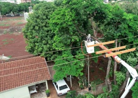 Energisa busca parceria com prefeituras da região sul de MS para podas de árvores